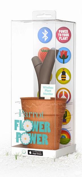 FLOWER POWER NON DIMENTICHERETE PIU DI ANNAFFIARE LE PIANTE