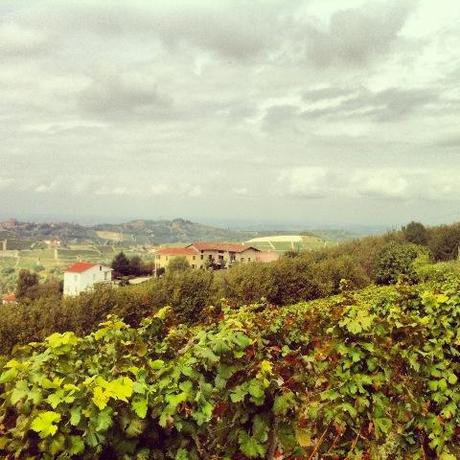 Panorama, Langhe - Piemonte, Italy