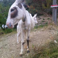 Alta Langa: un angolo di Piemonte fatto di emozioni e passione