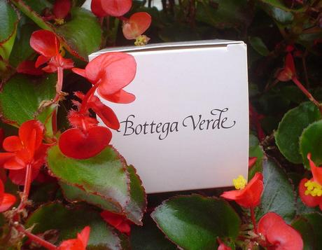 Review: Bottega Verde Rosa Mosqueta del Cile Crema viso giorno antietà