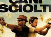 Cani Sciolti recensione