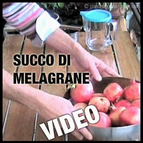 come preparare il succo di melagrane