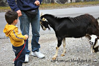 La Foto della Domenica - Ottobre/4