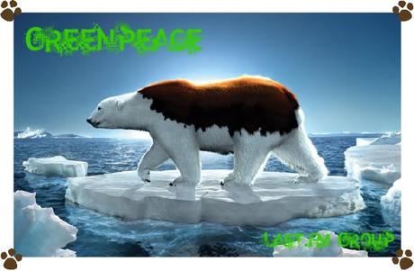 greenpeace-bear-1-2