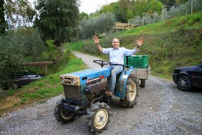 cronaca di una domenica terminata al frantoio