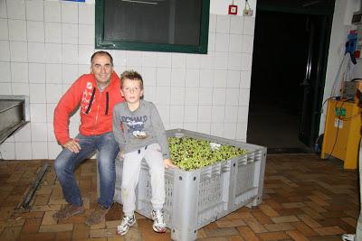 cronaca di una domenica terminata al frantoio