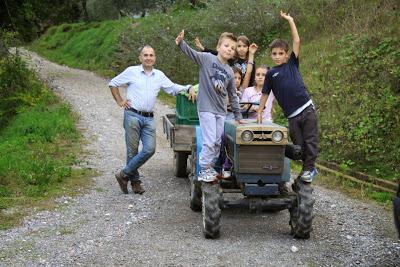 cronaca di una domenica terminata al frantoio