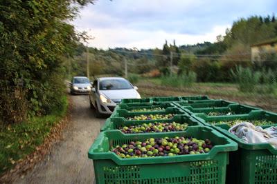 cronaca di una domenica terminata al frantoio