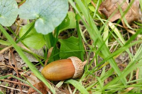 I colori dell'autunno: pic nic nel bosco