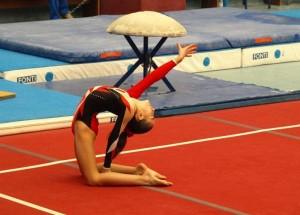 Reale Società Ginnastica