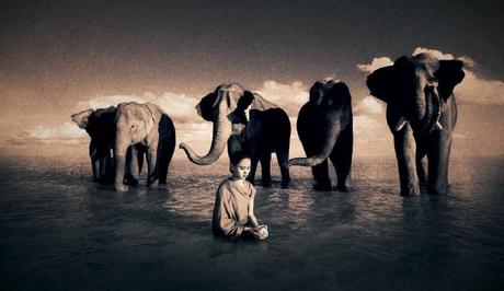 Gregory_Colbert_044