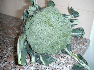 Orzo con broccoli, porro e prosciutto crudo