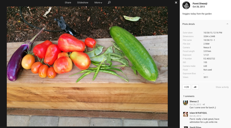 Nexus 5 vegetables camera sample Signore e signori... Le prime foto scattate col Nexus 5!