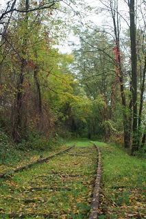 Fall foliage in Valle Olona