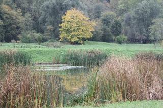 Fall foliage in Valle Olona