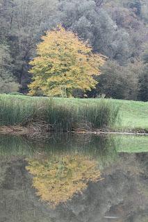 Fall foliage in Valle Olona