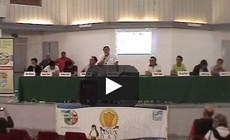 LinuxDay 2013 - LinuxDay Conferenza parte 3