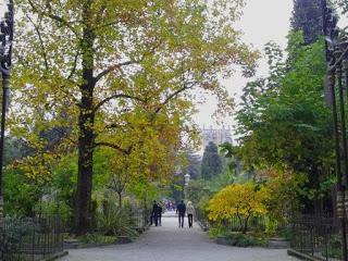 Il profondo Nordest: La Valsugana, la Val di Sella e l’Orto Botanico di Padova