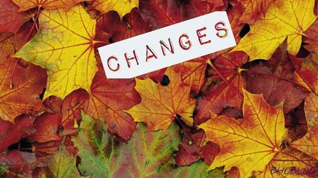 Autunno, le foglie, i cambiamenti
