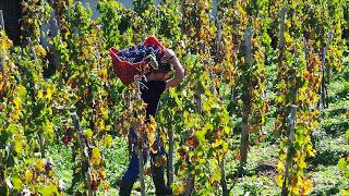 Dal Sol Levante sull’Etna. Wine tour a Tenuta di Fessina