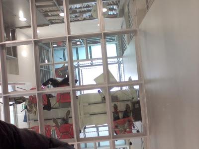 Prendi una mattina per caso.