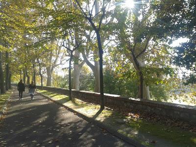 Prendi una mattina per caso.