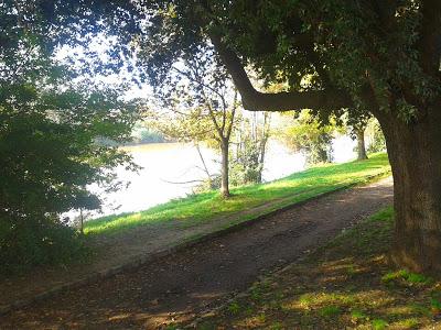 Prendi una mattina per caso.