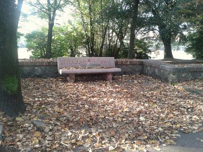 Prendi una mattina per caso.