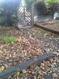 Prendi una mattina per caso.