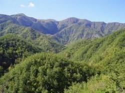 parcoforestecasentinesi1