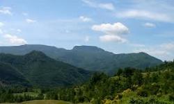 parcoforestecasentinesi2