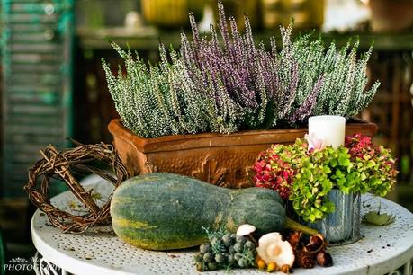 Mari Crea Photography