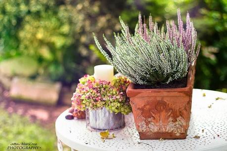 Mari Crea Photography