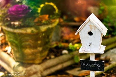 Mari Crea Photography