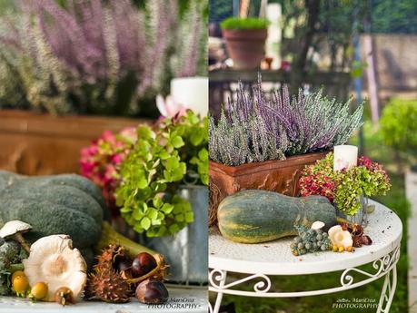 Mari Crea Photography