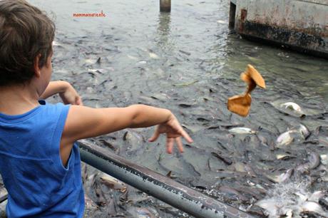 Bangkok da scoprire: in barca lungo i khlongs di Thonburi