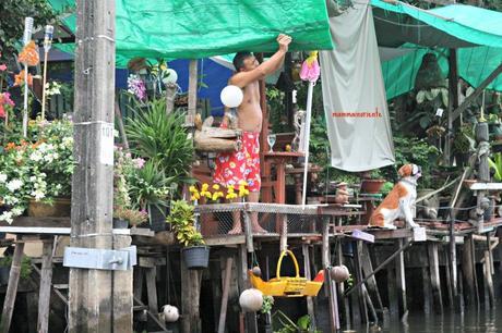 Bangkok da scoprire: in barca lungo i khlongs di Thonburi