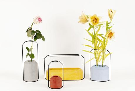 Specimen - Weight vases vasi piante in cemento