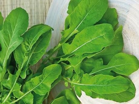 Coltivare la rucola, amabile compagna di pizze e insalate miste