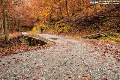 L'autunno in Valle Vigezzo.