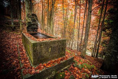 L'autunno in Valle Vigezzo.