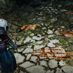 Dark Souls II, una tonnellata di immagini sui combattimenti, fantasmi ed ambientazioni