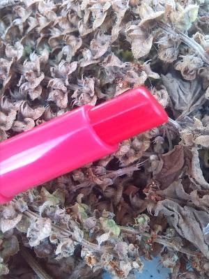 NEW ESSENCE Glow Tinted Lip Balm (swatch and review)