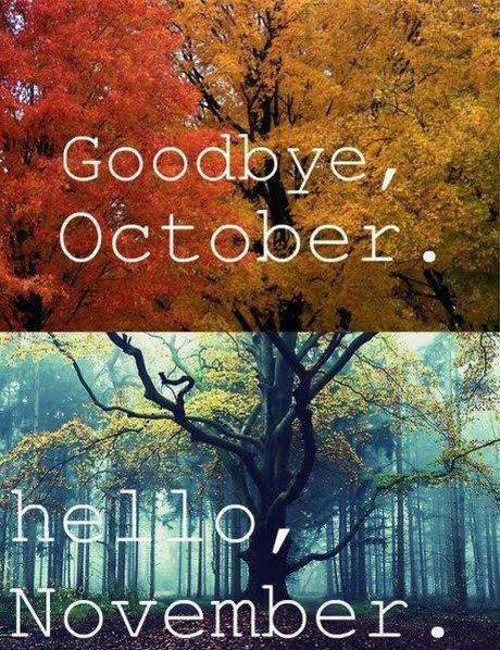 I hate you, November. I will not have another winter after this year. Florida here we come.