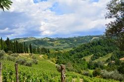 l'area vinicola