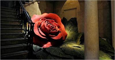 Come t'interfaccio il museo: riflessioni dall'AMO