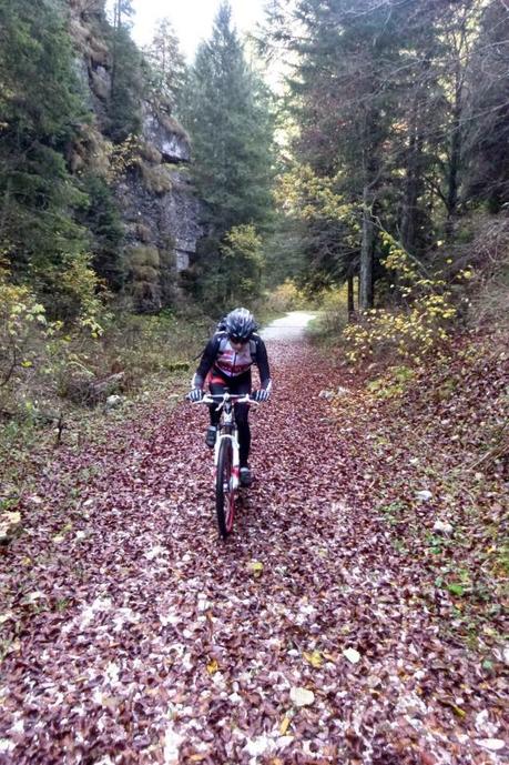 Cactus, alzati e pedala...in Lessinia