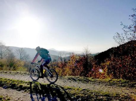 Cactus, alzati e pedala...in Lessinia