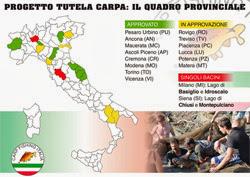 ANTEPRIMA: ENDINE ADOTTA IL PTC (PROGETTO TUTELA CARPA)