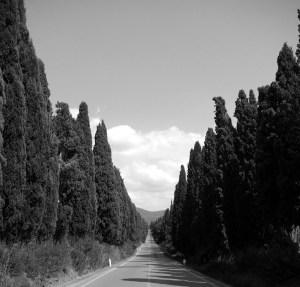 Bolgheri - Viale dei Cipressi 